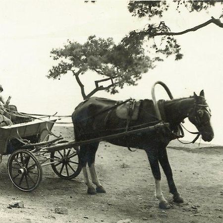 Orhan Kutbayin Evi Adalar Eksteriør billede