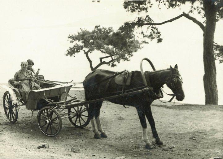 Orhan Kutbayin Evi Adalar Eksteriør billede